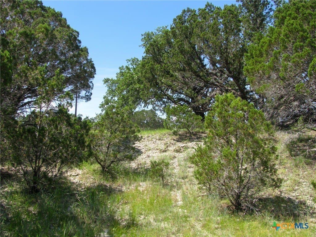 10.01 acres in Hamilton County - photo 8