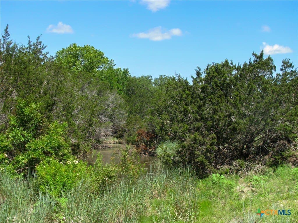 10.01 acres in Hamilton County - photo 16