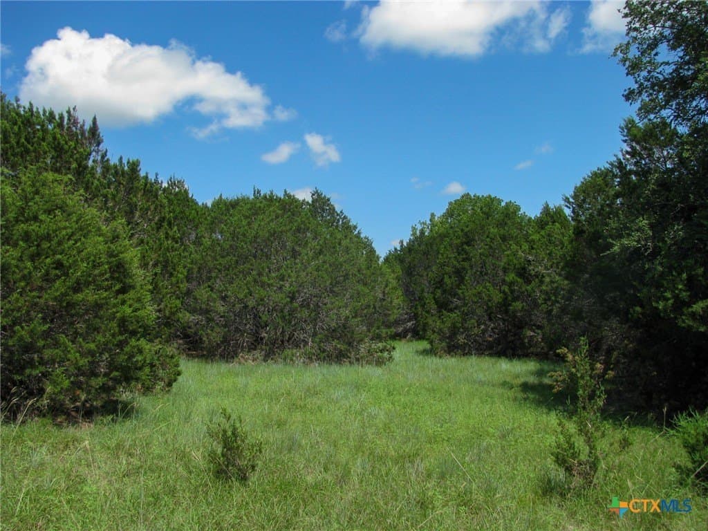 10.01 acres in Hamilton County - photo 17