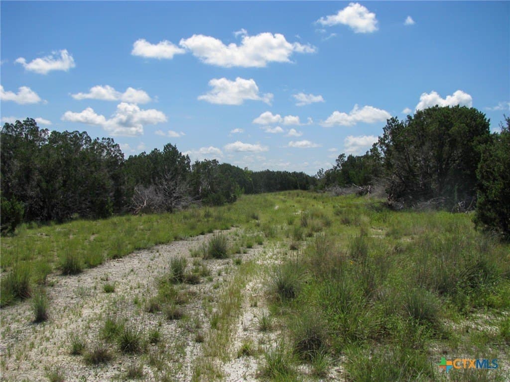 10.01 acres in Hamilton County - photo 10