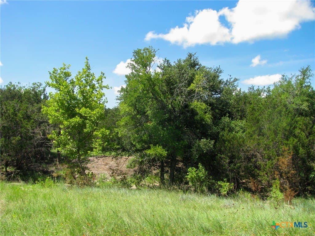 10.01 acres in Hamilton County - photo 3