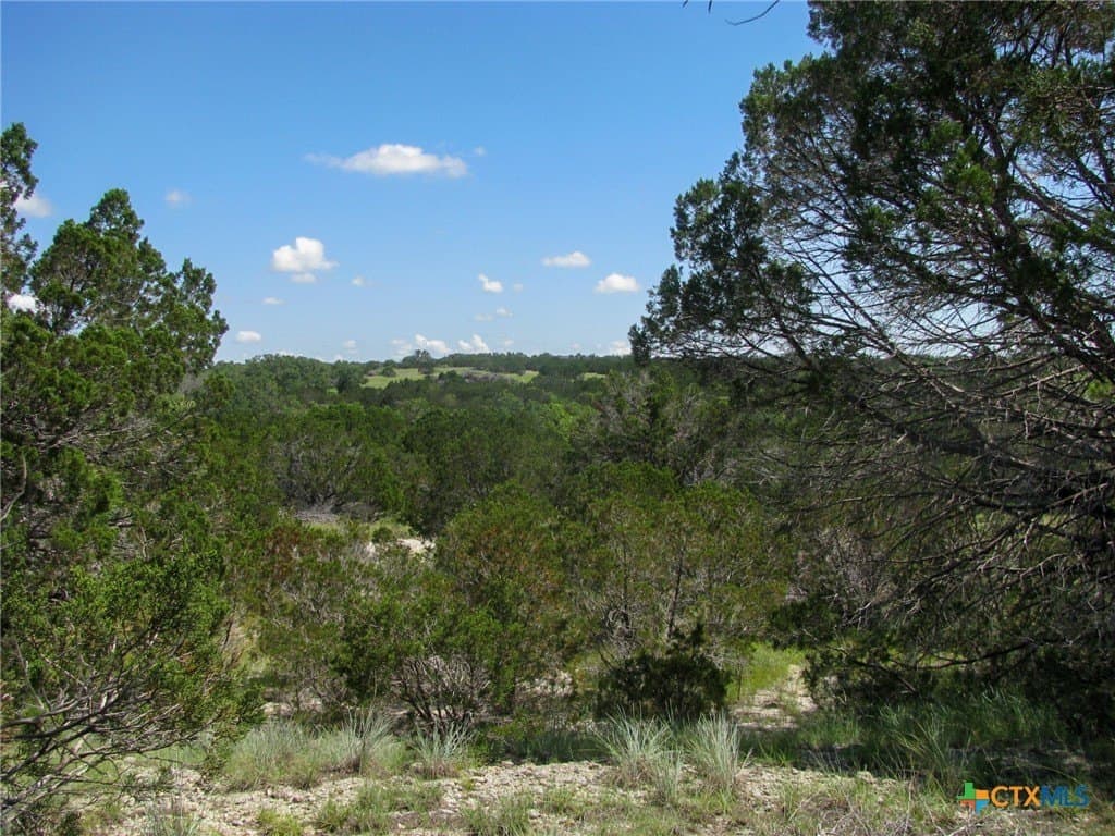 10.01 acres in Hamilton County - photo 9