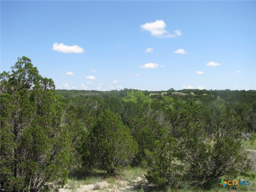 10.01 acres in Hamilton County - photo 5