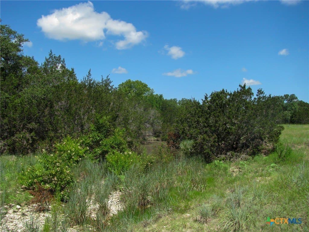 10.01 acres in Hamilton County - photo 15
