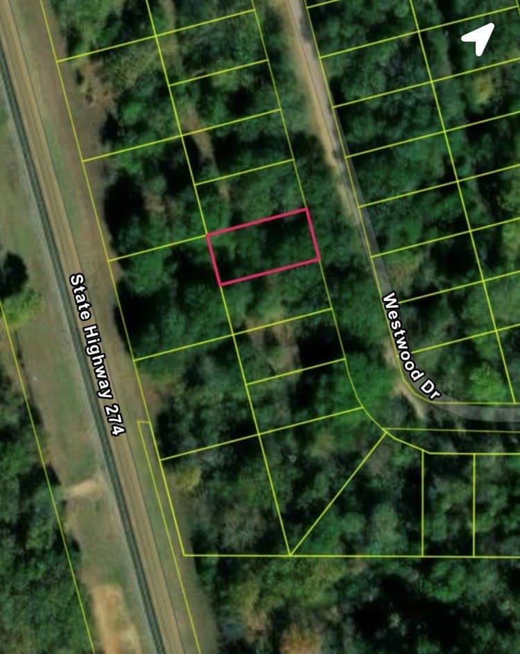 0.12 acres in Henderson County - photo 5