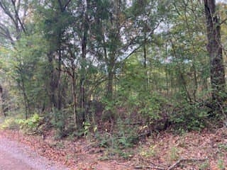0.12 acres in Henderson County - photo 3