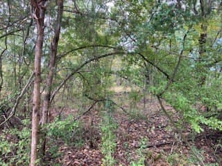 0.12 acres in Henderson County - photo 2