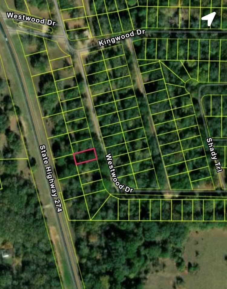 0.12 acres in Henderson County - photo 6