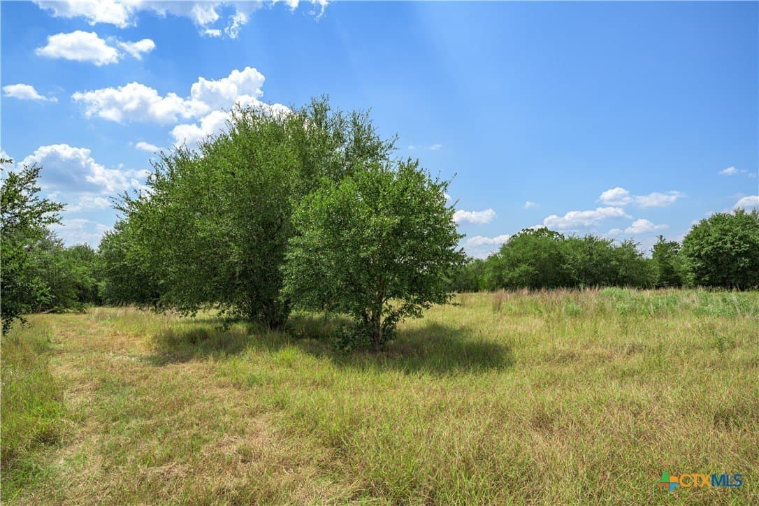 76.48 acres in Fayette County - photo 5