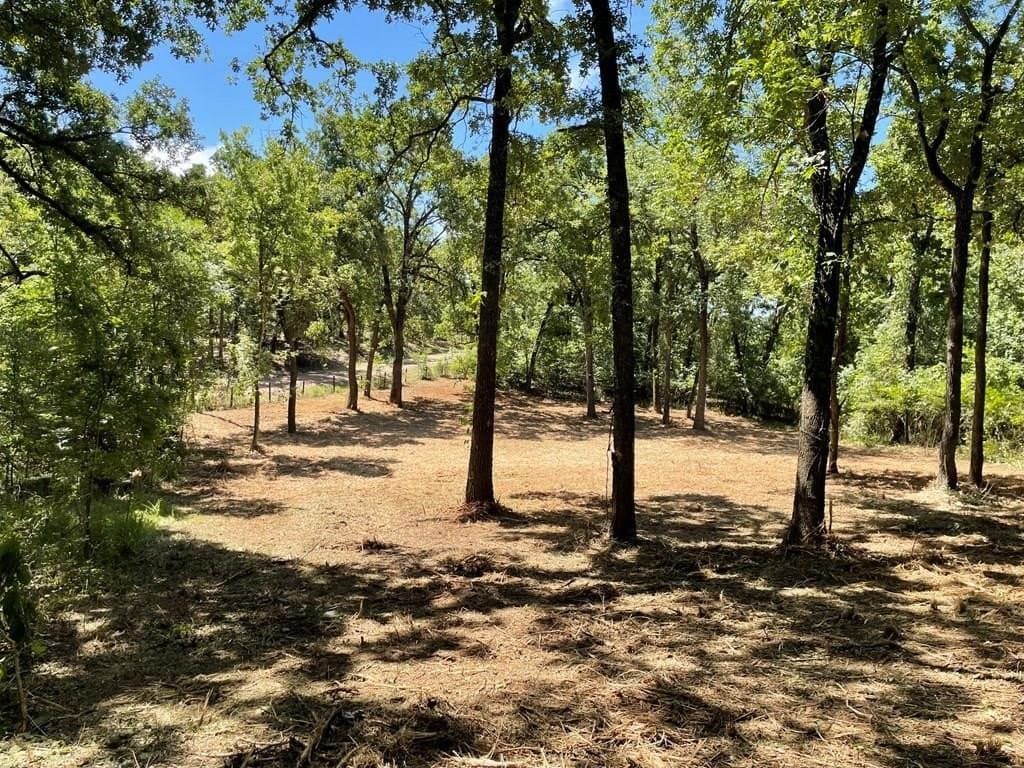 0.38 acres in Henderson County - photo 4