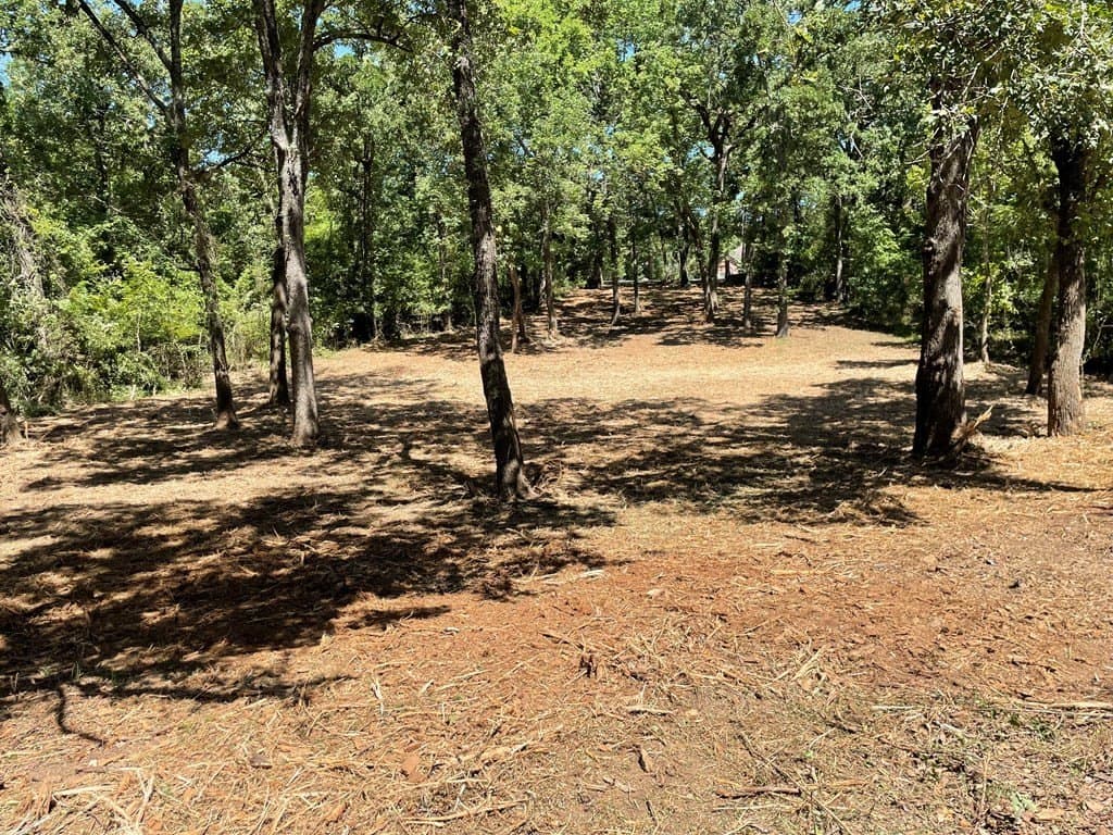 0.38 acres in Henderson County - photo 5