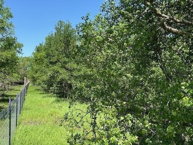 5.24 acres in Navarro County - photo 4