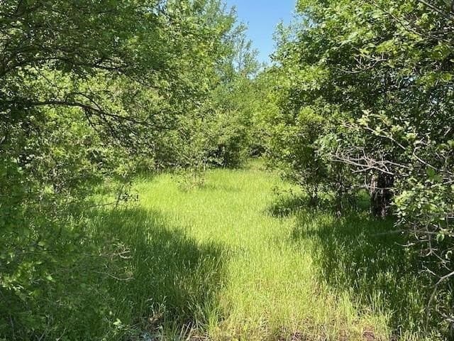 5.24 acres in Navarro County - photo 6