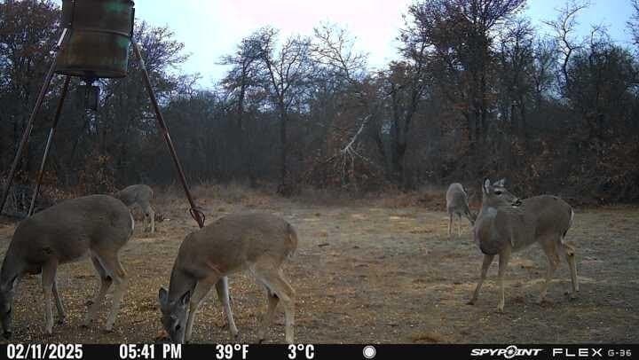57 acres in Jones County - photo 9