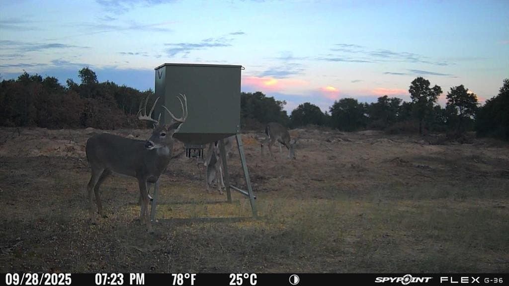 57 acres in Jones County - photo 12