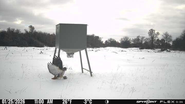 57 acres in Jones County - photo 2