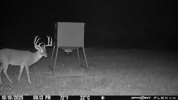 57 acres in Jones County - photo 4