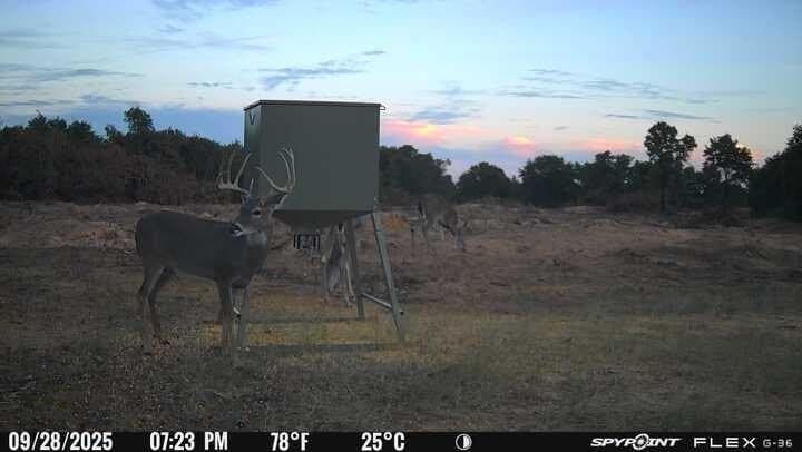 57 acres in Jones County - photo 5