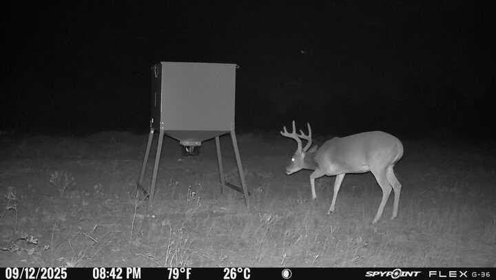 57 acres in Jones County - photo 8