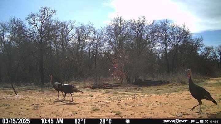 57 acres in Jones County - photo 7