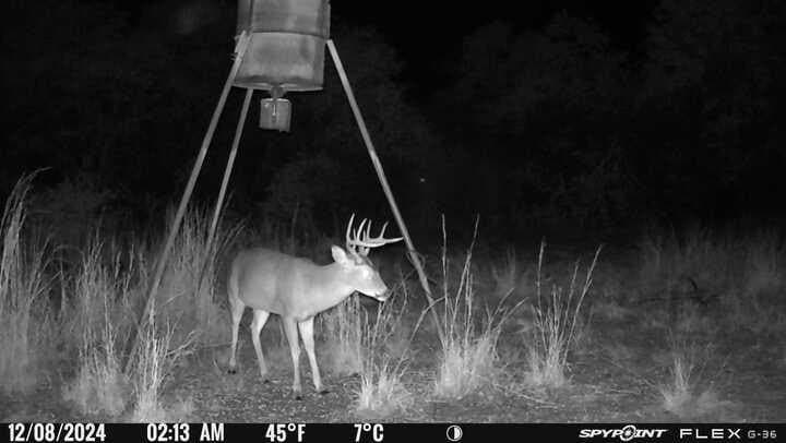 57 acres in Jones County - photo 6