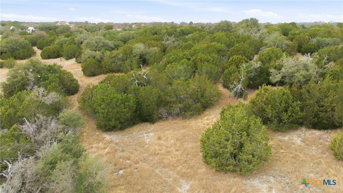 9.1 acres in Bell County - photo 15