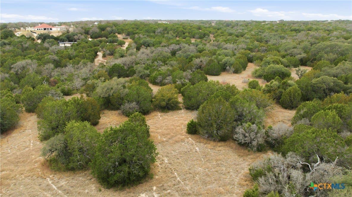 9.1 acres in Bell County - photo 16