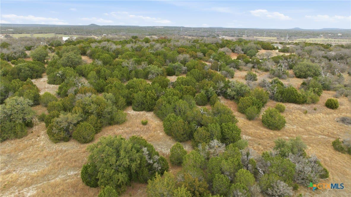 9.1 acres in Bell County - photo 14