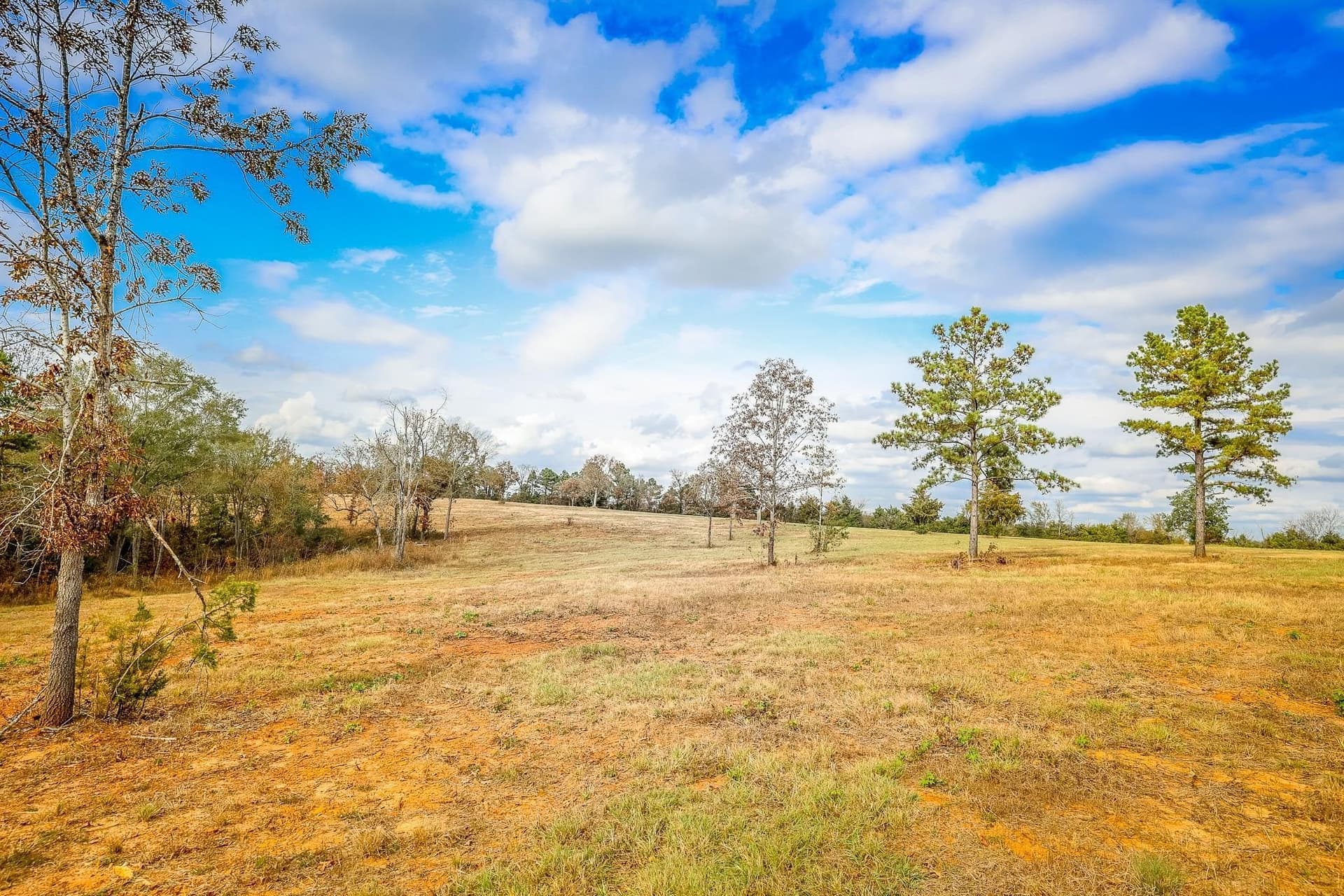 26 acres in Smith County - photo 8