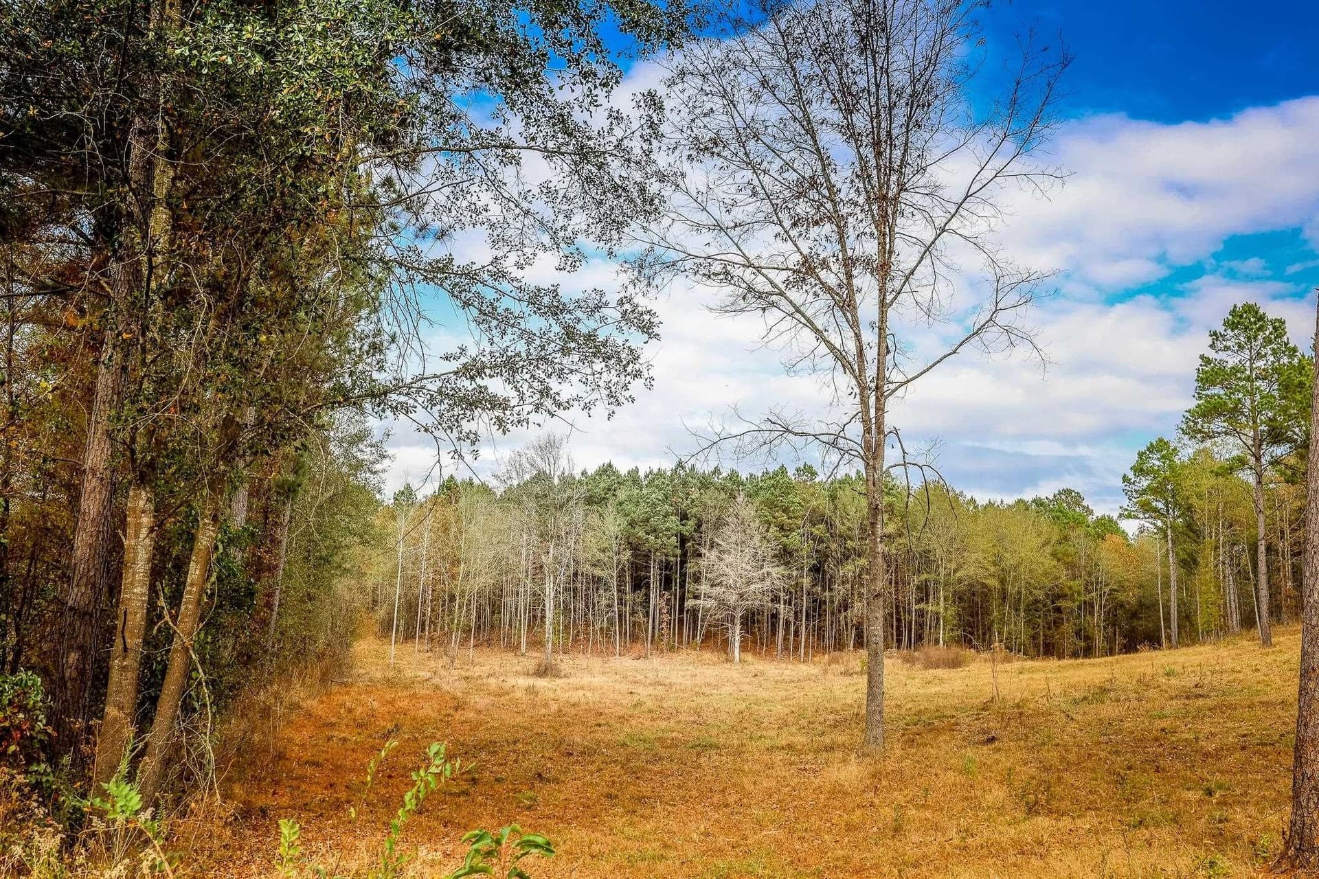 26 acres in Smith County - photo 2