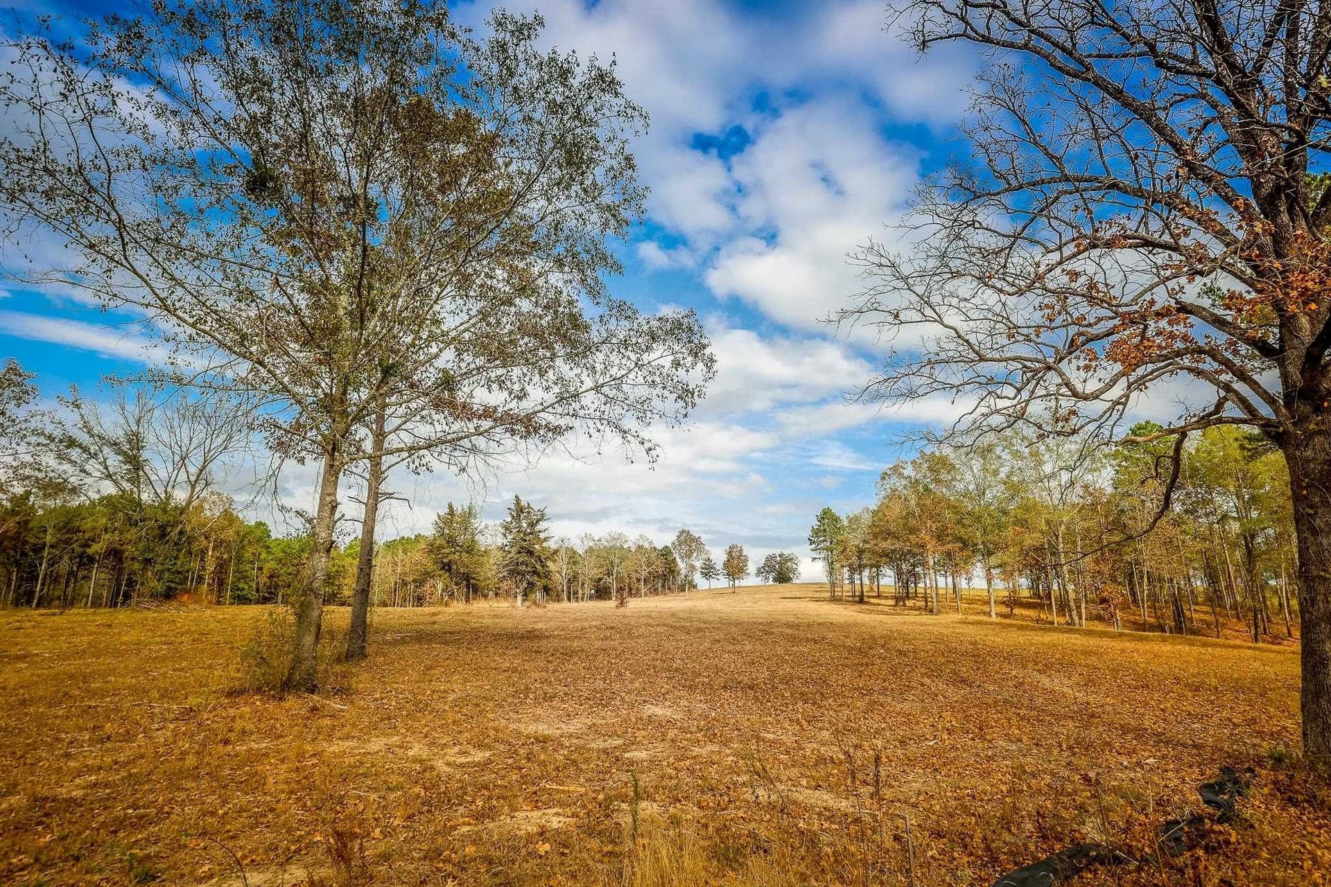 26 acres in Smith County - photo 6