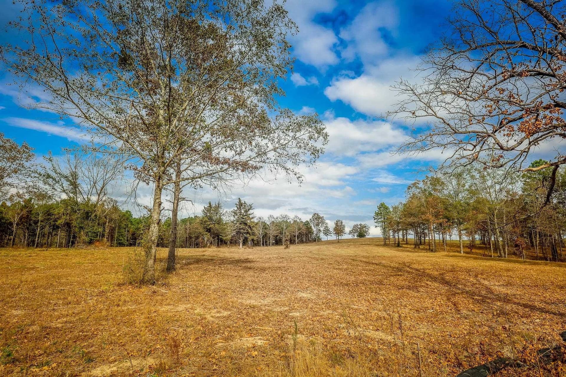 26 acres in Smith County - photo 4