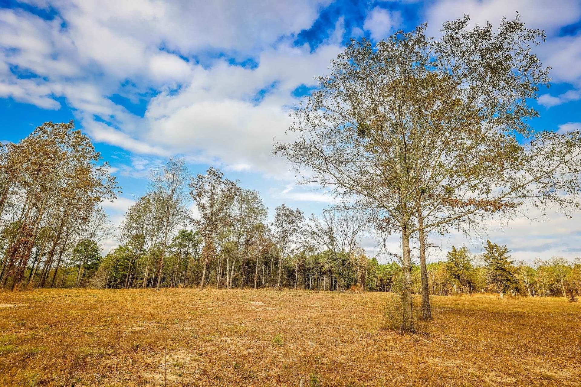 26 acres in Smith County - photo 7