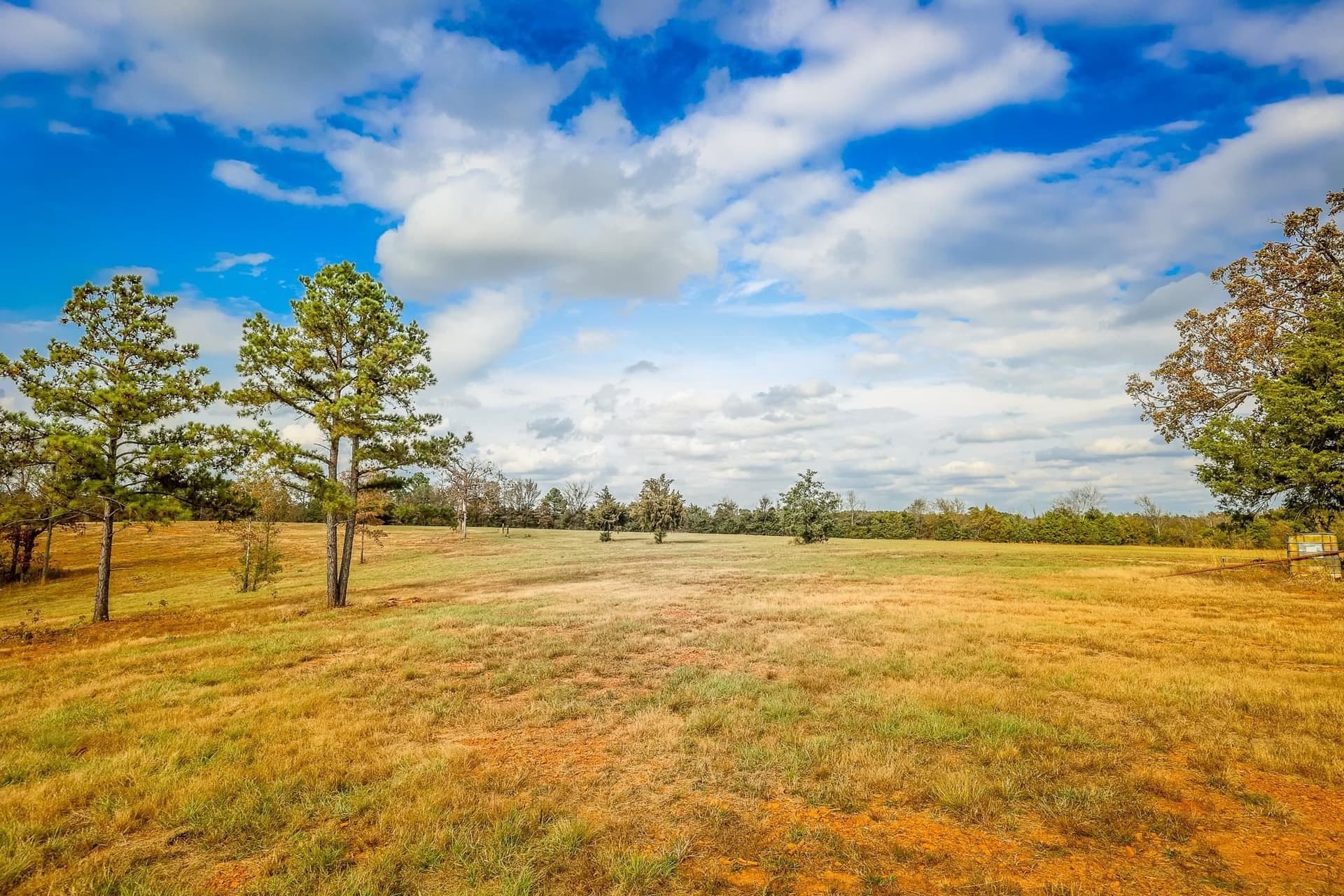 26 acres in Smith County - photo 9
