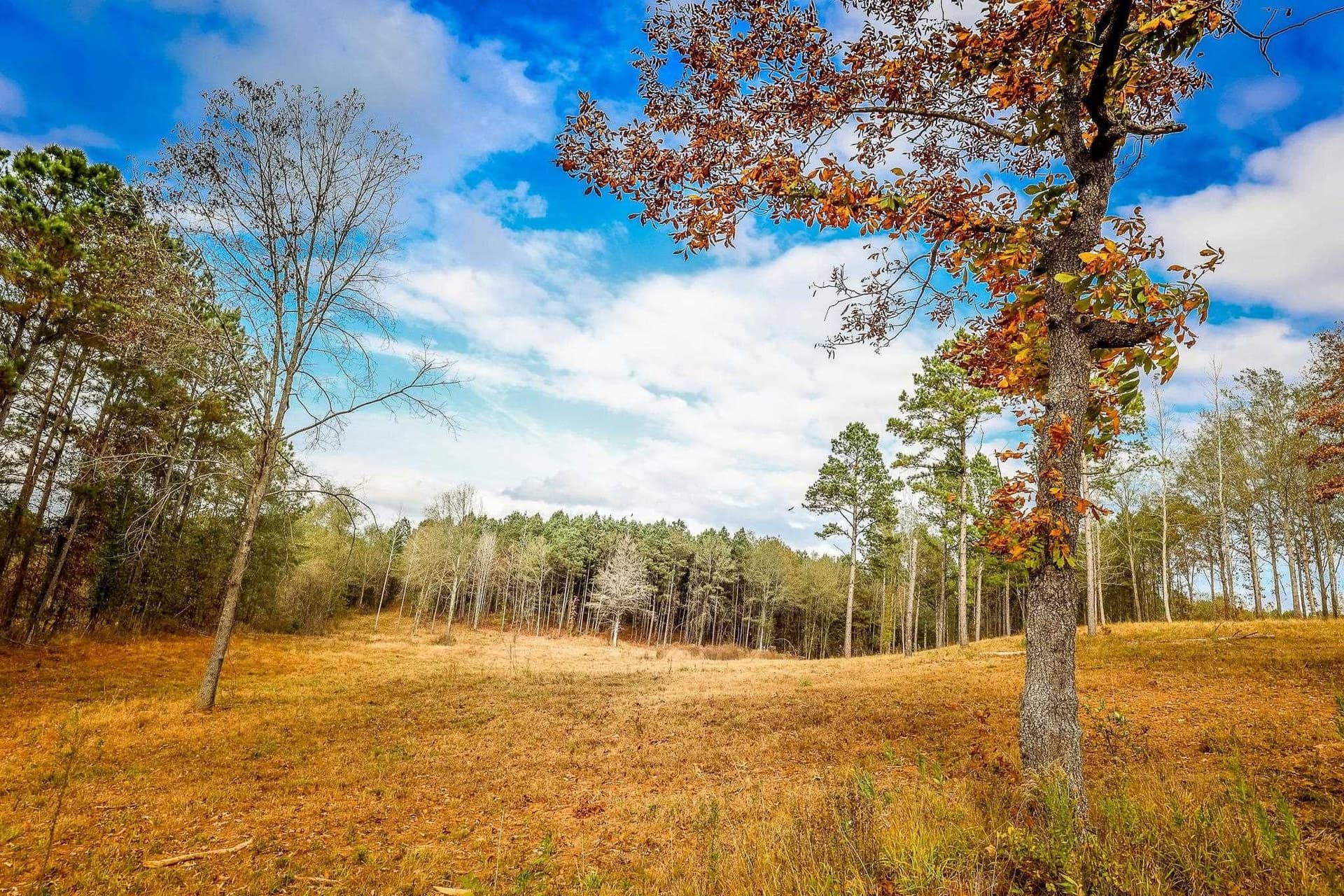 26 acres in Smith County - photo 3