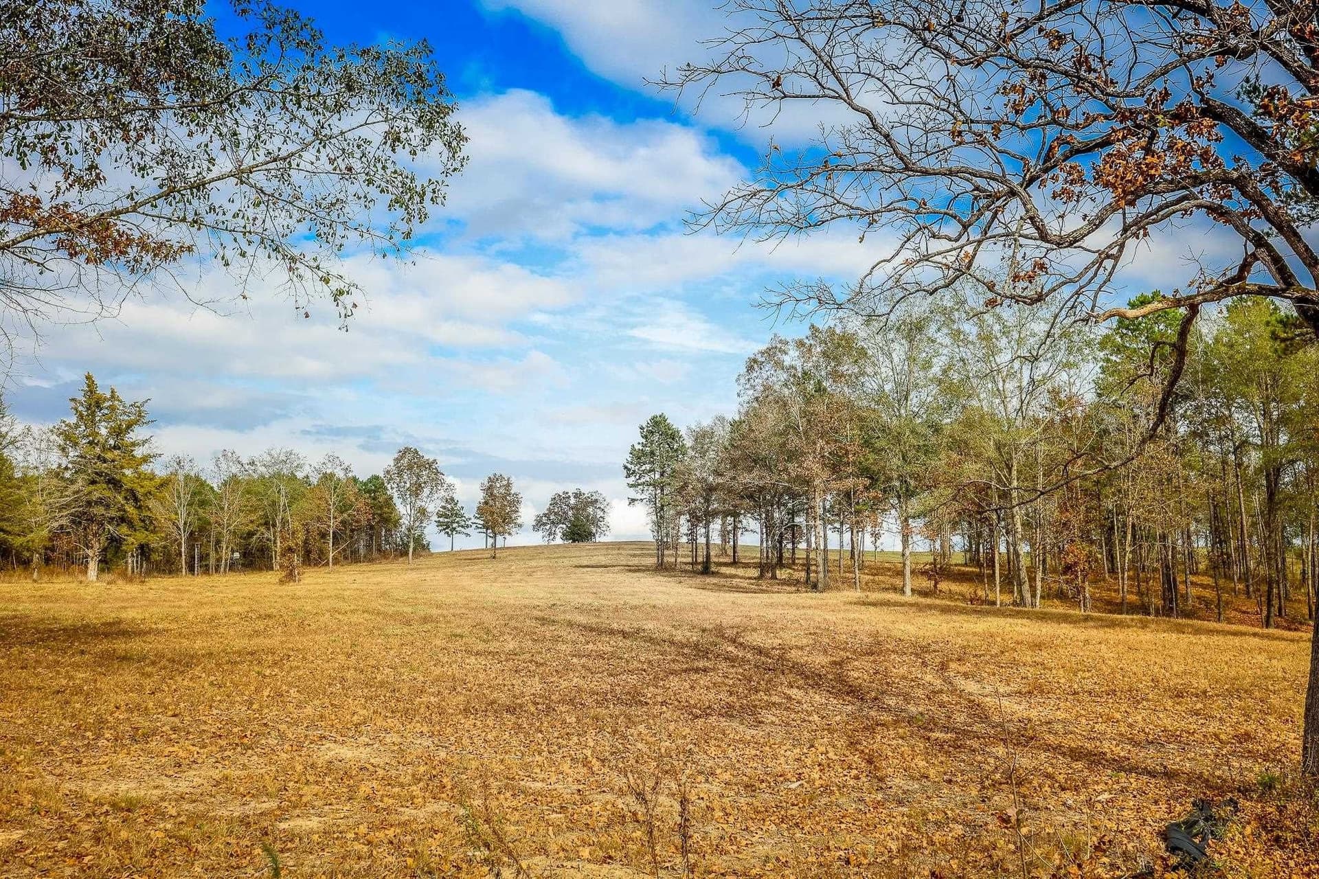 26 acres in Smith County - photo 5