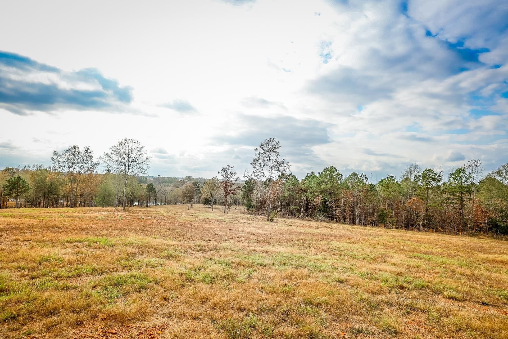 26 acres in Smith County - photo 10