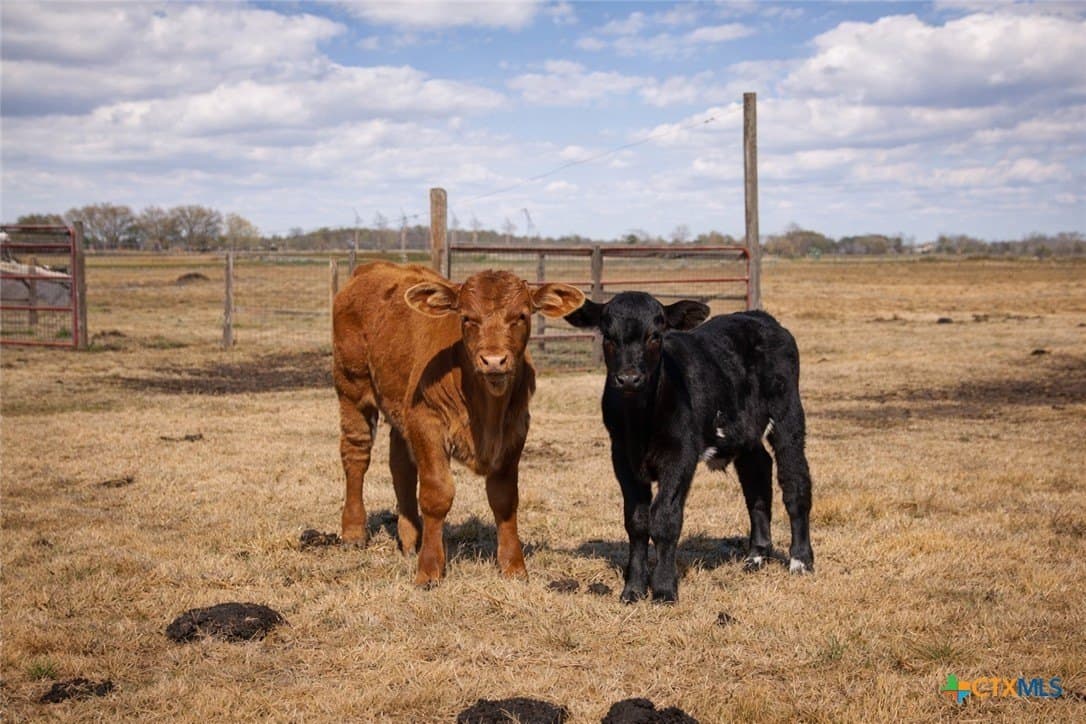 17.58 acres in Fort Bend County - photo 46