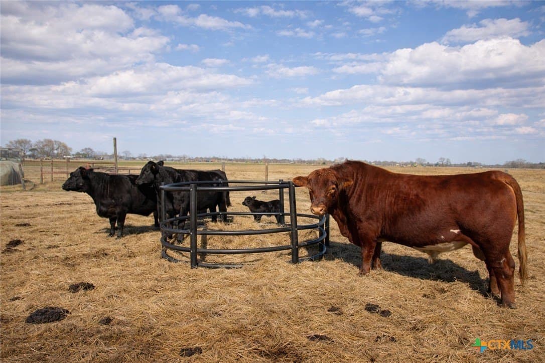 17.58 acres in Fort Bend County - photo 47