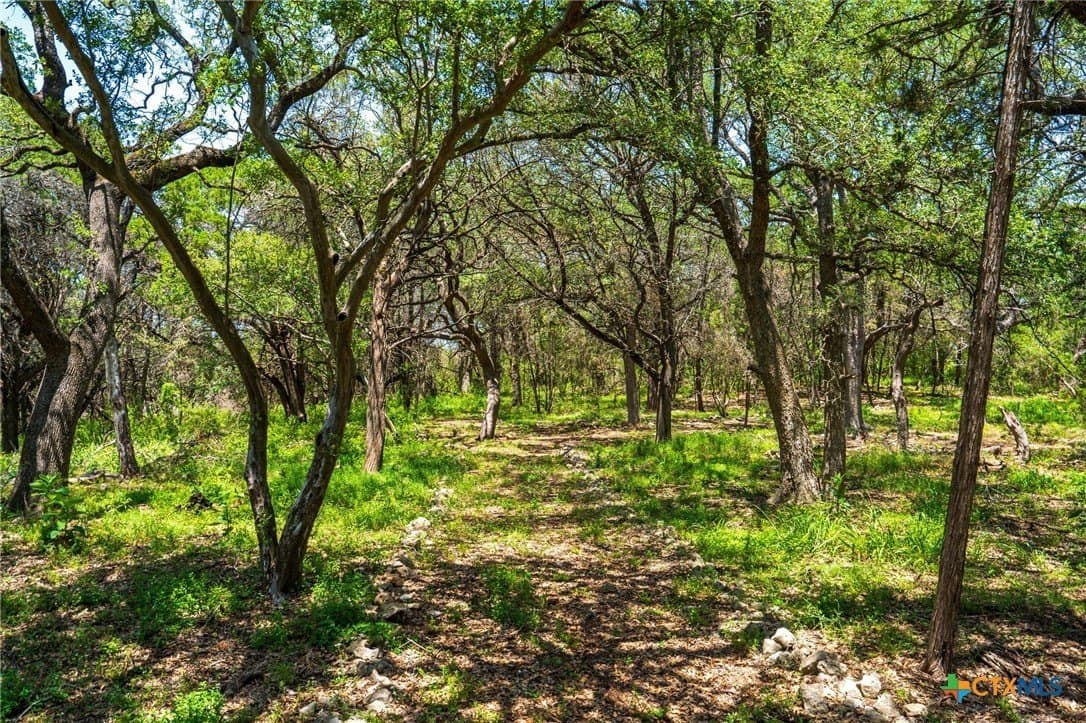 4.71 acres in Comal County - photo 13