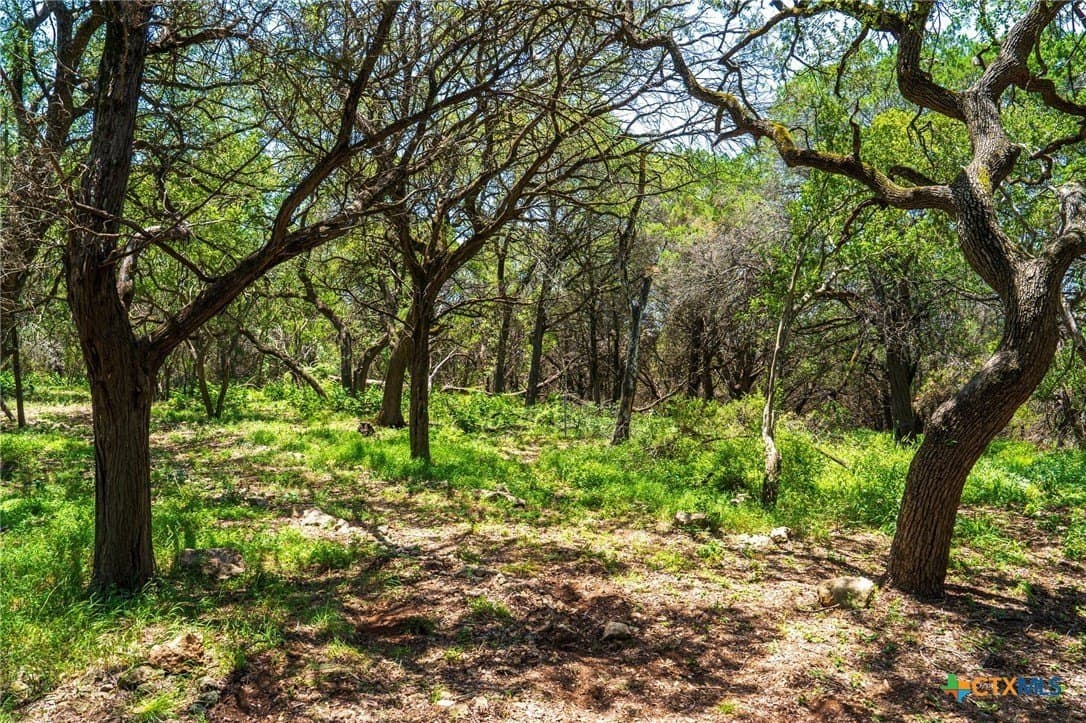 4.71 acres in Comal County - photo 12