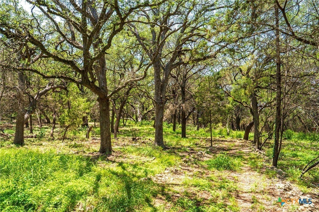 4.71 acres in Comal County - photo 11