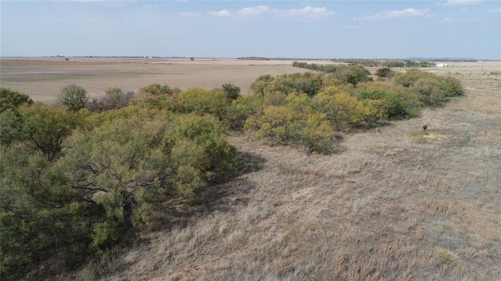 28.2 acres in Runnels County - photo 3