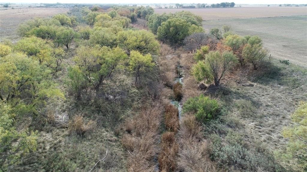 28.2 acres in Runnels County - photo 6