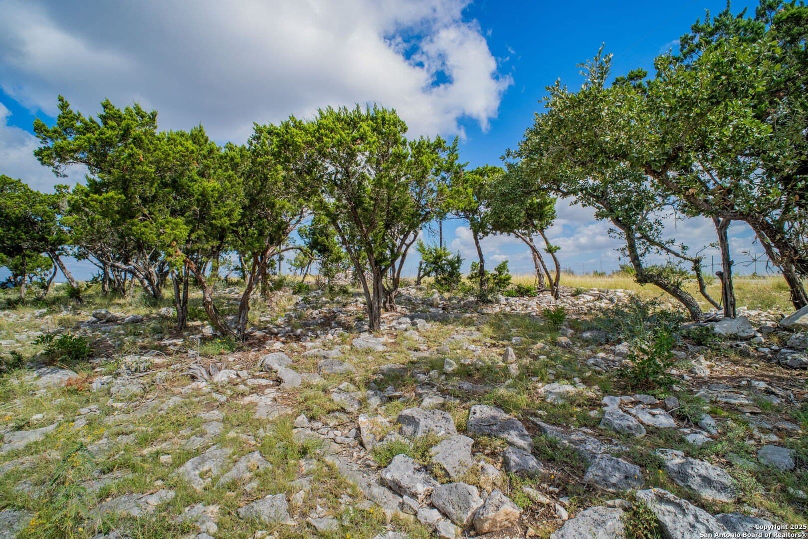5.09 acres in Bandera County - photo 6
