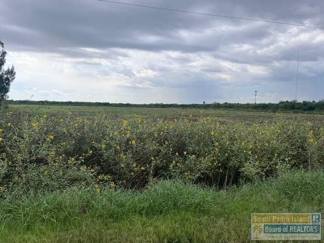 0 acres in Cameron County - photo 7