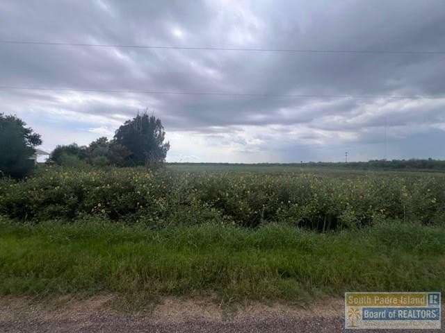 0 acres in Cameron County - photo 8