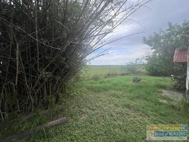 0 acres in Cameron County - photo 6