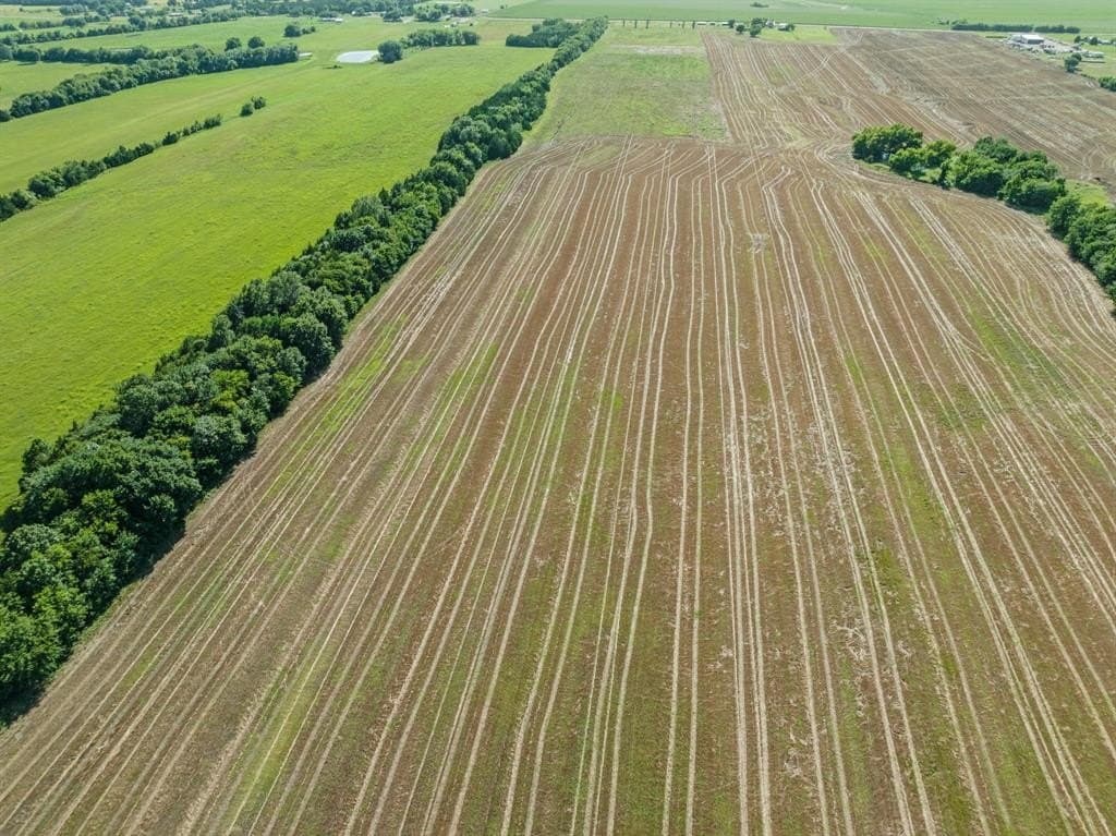 80 acres in Lamar County - photo 2