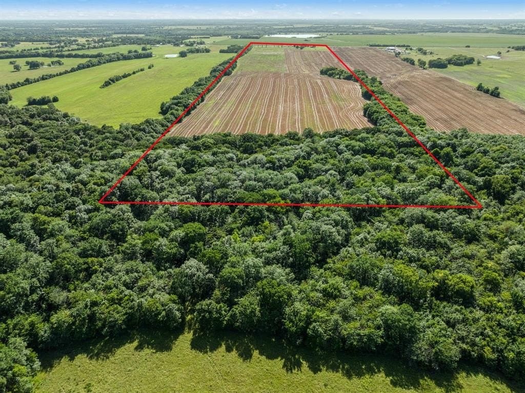 80 acres in Lamar County - photo 5